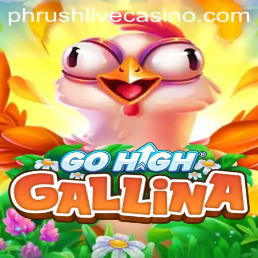 GoHighGallina: A New Adventure in Gaming
